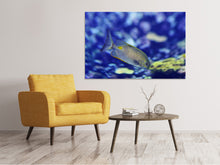 Load image into Gallery viewer, Canvas print A fish in the aquarium
