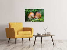 Load image into Gallery viewer, Canvas print 2 fish
