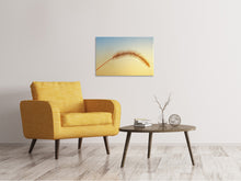 Load image into Gallery viewer, Canvas print Ornamental grass in XXL
