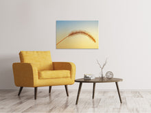 Load image into Gallery viewer, Canvas print Ornamental grass in XXL
