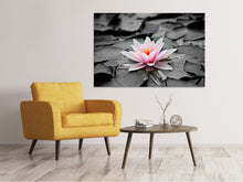 Load image into Gallery viewer, Canvas print The art of water lily

