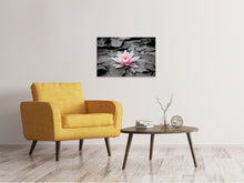 Load image into Gallery viewer, Canvas print The art of water lily
