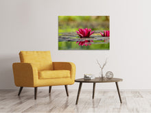 Load image into Gallery viewer, Canvas print Red water lily duo
