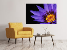 Load image into Gallery viewer, Canvas print XL water lily in purple
