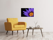 Load image into Gallery viewer, Canvas print XL water lily in purple
