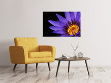 Load image into Gallery viewer, Canvas print XL water lily in purple
