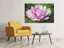 Load image into Gallery viewer, Canvas print Water lily in pink
