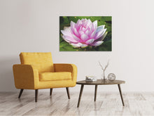 Load image into Gallery viewer, Canvas print Water lily in pink
