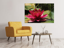 Load image into Gallery viewer, Canvas print Water lily in red
