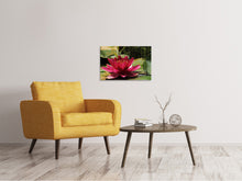 Load image into Gallery viewer, Canvas print Water lily in red
