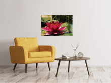 Load image into Gallery viewer, Canvas print Water lily in red
