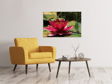 Load image into Gallery viewer, Canvas print Water lily in red
