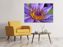 Load image into Gallery viewer, Canvas print XXL water lily in purple
