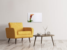 Load image into Gallery viewer, Canvas print Calla in XL
