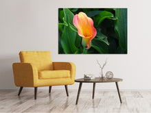 Load image into Gallery viewer, Canvas print Wild Calla

