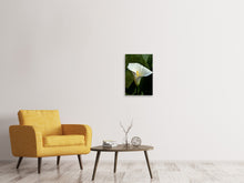 Load image into Gallery viewer, Canvas print White calla with morning dew

