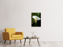 Load image into Gallery viewer, Canvas print White calla with morning dew

