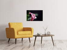 Load image into Gallery viewer, Canvas print Calla in purple
