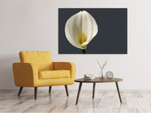 Load image into Gallery viewer, Canvas print Proud Calla
