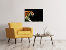 Load image into Gallery viewer, Canvas print Imposing tiger
