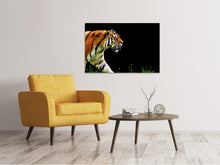 Load image into Gallery viewer, Canvas print Imposing tiger
