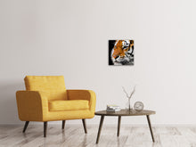 Load image into Gallery viewer, Canvas print Close up tiger head
