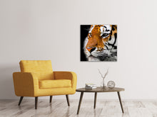 Load image into Gallery viewer, Canvas print Close up tiger head
