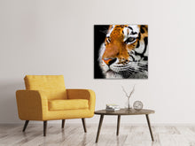 Load image into Gallery viewer, Canvas print Close up tiger head
