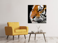 Load image into Gallery viewer, Canvas print Close up tiger head

