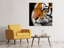 Load image into Gallery viewer, Canvas print Close up tiger head
