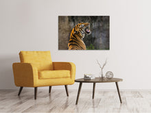 Load image into Gallery viewer, Canvas print Attention Tiger
