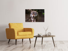 Load image into Gallery viewer, Canvas print The evil wolf
