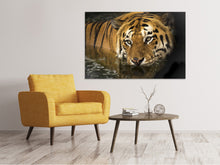 Load image into Gallery viewer, Canvas print Tiger in the water
