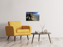 Load image into Gallery viewer, Canvas print A lioness on the beach
