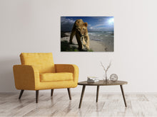 Load image into Gallery viewer, Canvas print A lioness on the beach
