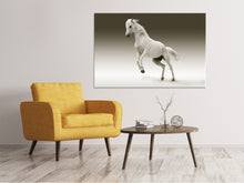 Load image into Gallery viewer, Canvas print The proud mare
