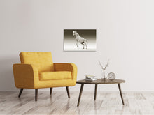 Load image into Gallery viewer, Canvas print The proud mare
