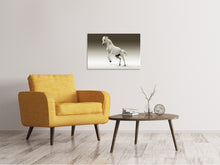 Load image into Gallery viewer, Canvas print The proud mare
