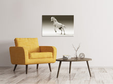 Load image into Gallery viewer, Canvas print The proud mare
