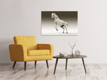 Load image into Gallery viewer, Canvas print The proud mare
