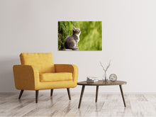 Load image into Gallery viewer, Canvas print wildcat
