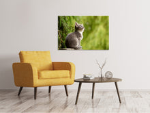 Load image into Gallery viewer, Canvas print wildcat
