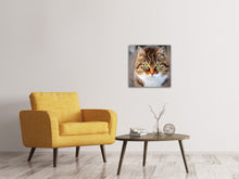 Load image into Gallery viewer, Canvas print Tiger cat
