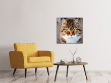 Load image into Gallery viewer, Canvas print Tiger cat
