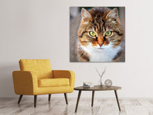 Load image into Gallery viewer, Canvas print Tiger cat

