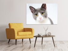 Load image into Gallery viewer, Canvas print Noble cat
