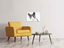 Load image into Gallery viewer, Canvas print Noble cat
