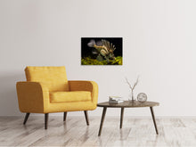 Load image into Gallery viewer, Canvas print Lion fish
