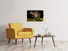 Load image into Gallery viewer, Canvas print Lion fish
