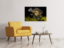Load image into Gallery viewer, Canvas print Lion fish
